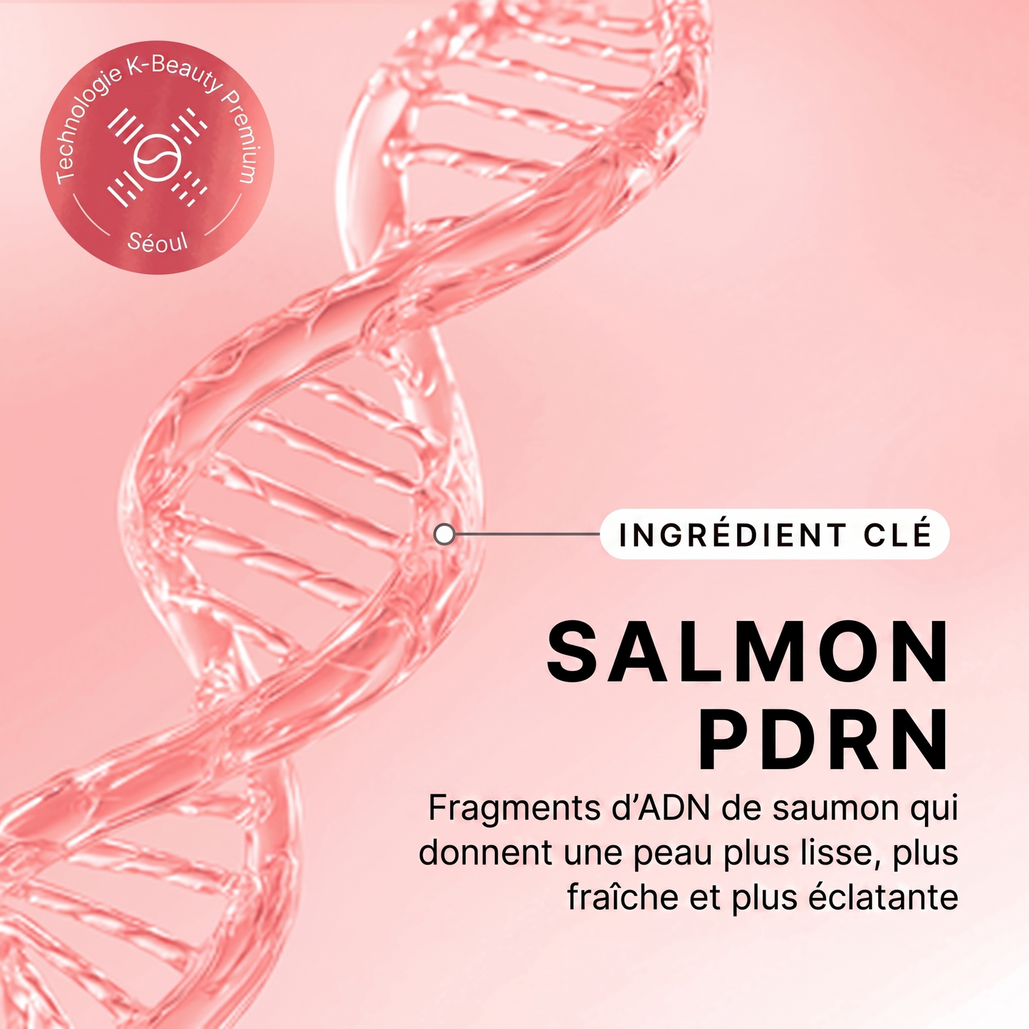 Baume Volume Collagène PDRN